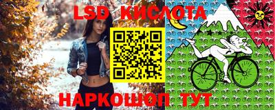 a pvp Кингисепп