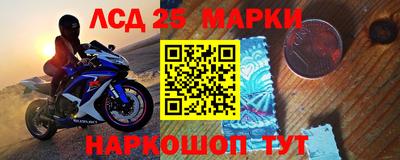 a pvp Кингисепп