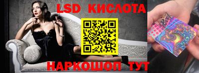 a pvp Кингисепп
