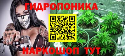 a pvp Кингисепп