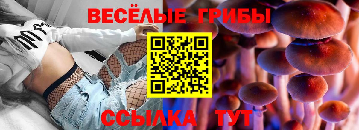 Галлюциногенные грибы GOLDEN TEACHER  Вход с VPN  Киров 